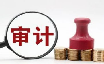 个人审计工作总结通用8篇