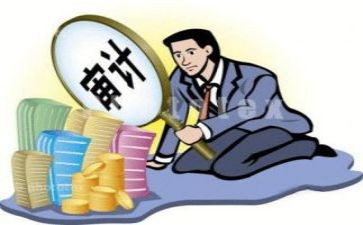 医院审计工作总结8篇