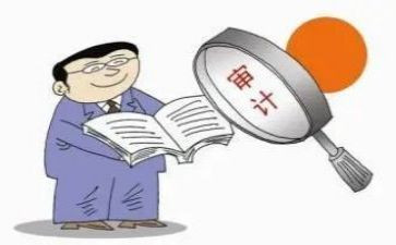 局审计工作总结精选6篇