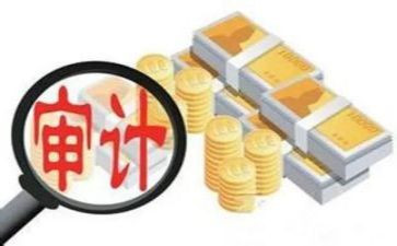 个人审计工作总结优秀5篇