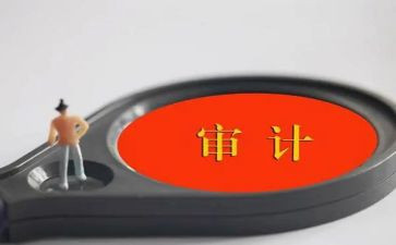 2024年高校审计工作总结7篇