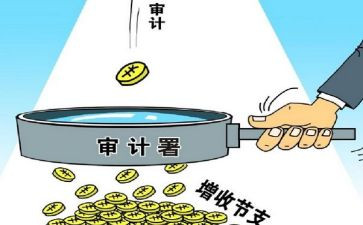 审计人年终工作总结推荐6篇