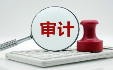 2024审计工作总结2024审计工作计划5篇