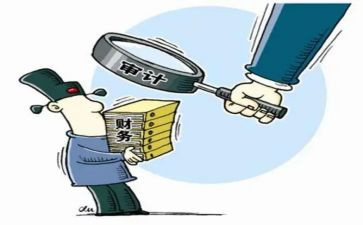 年度审计总结报告7篇