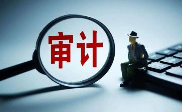 审计股的工作计划8篇