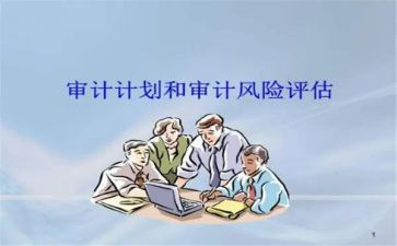 局审计工作总结通用8篇