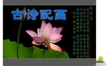 教师诗的演讲稿通用8篇
