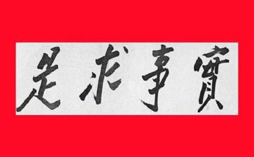 为民办实事的工作总结5篇