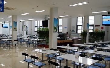 2023食堂的工作总结最新6篇