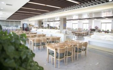 2024年食堂安全工作总结5篇