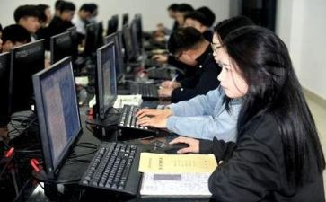 实训心得总结报告8篇