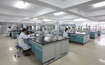 局解实验的心得体会推荐5篇