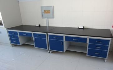 2024实验室工作总结优质5篇