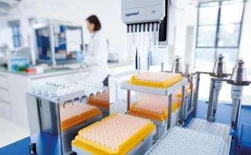 局解实验的心得体会7篇