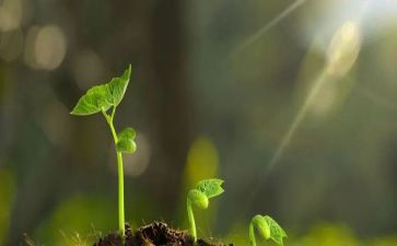 守护她作文优秀6篇