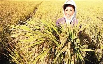 写收获的读后感8篇