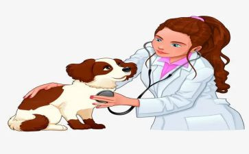 兽医师职称个人述职报告5篇