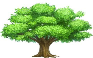 植树演讲稿300字6篇