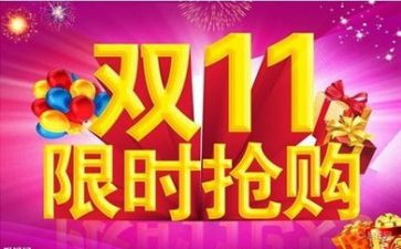 双11作文500字模板8篇