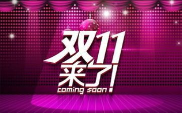 双11作文300字模板7篇