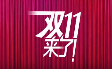 双11作文300字精选5篇