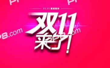 双11作文500字优秀6篇