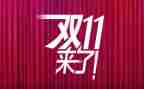 双11作文300字精选5篇