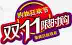 双11作文600字通用6篇
