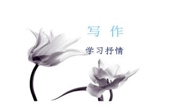 书抒情作文优质8篇