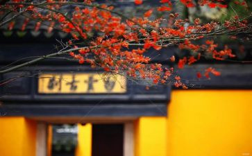 寺为僧调研报告优秀5篇