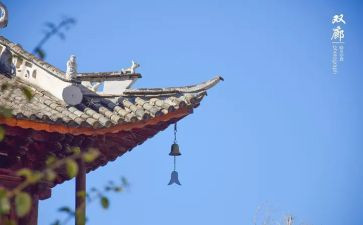寺外活动调研报告7篇