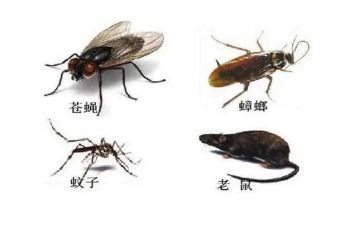 年除四害工作计划7篇