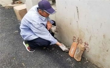 年除四害工作计划优秀5篇