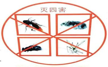 社区灭四害工作计划6篇