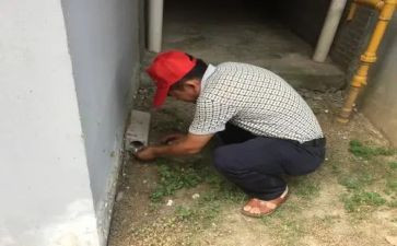 幼儿园除四害工作计划8篇