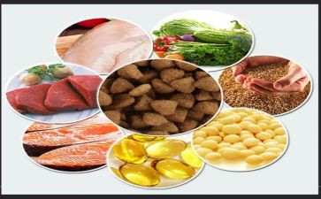 饲料业务员月总结8篇