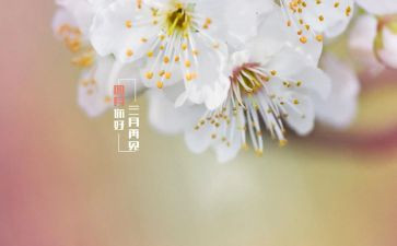 大班四月工作总结范文5篇