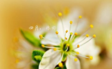 大班四月的工作计划5篇