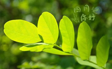 四月中班工作总结7篇