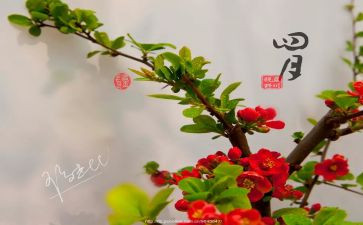 四月工作总结范文5篇