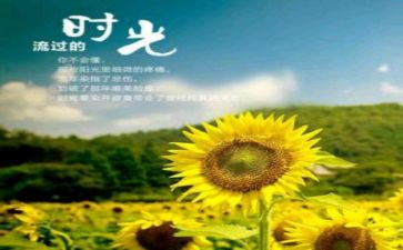 陪伴岁月的作文6篇