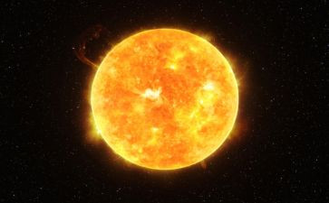 太阳的狗读后感通用6篇