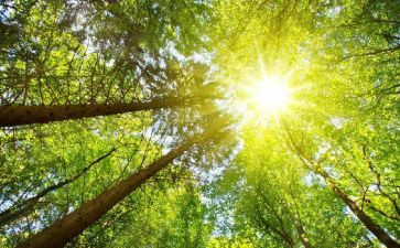 大班太阳的音乐教案5篇