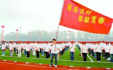 特岗教师教学心得体会8篇