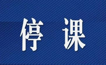 停课不停学教学工作总结8篇