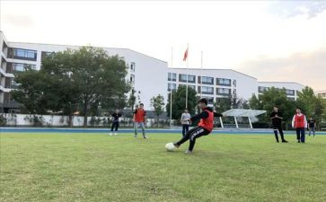 小学体卫工作计划参考5篇