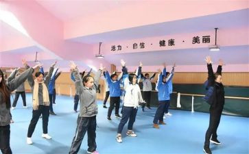 区体卫艺工作总结8篇