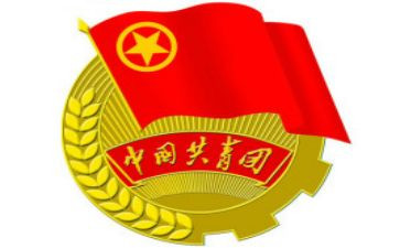 大学生院团委工作总结6篇
