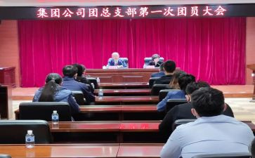 团总支半年度工作总结6篇