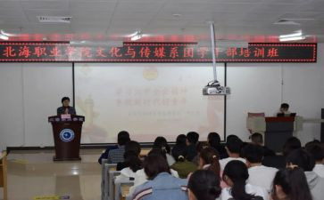 团总支的工作计划8篇